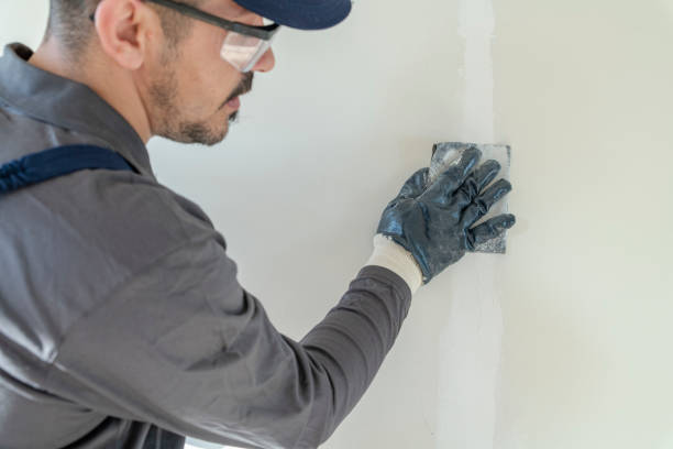 Best Mold Odor Removal Services  in East Stroudsburg, PA