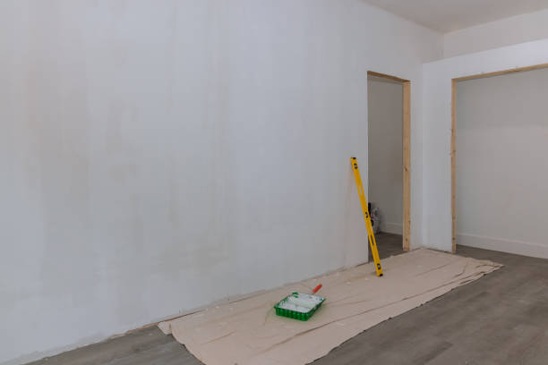 Reliable East Stroudsburg, PA Mold Removal Solutions